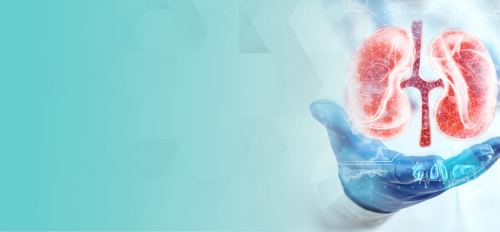 Enefro - Clínica de Nefrologia e Diálise Peritoneal